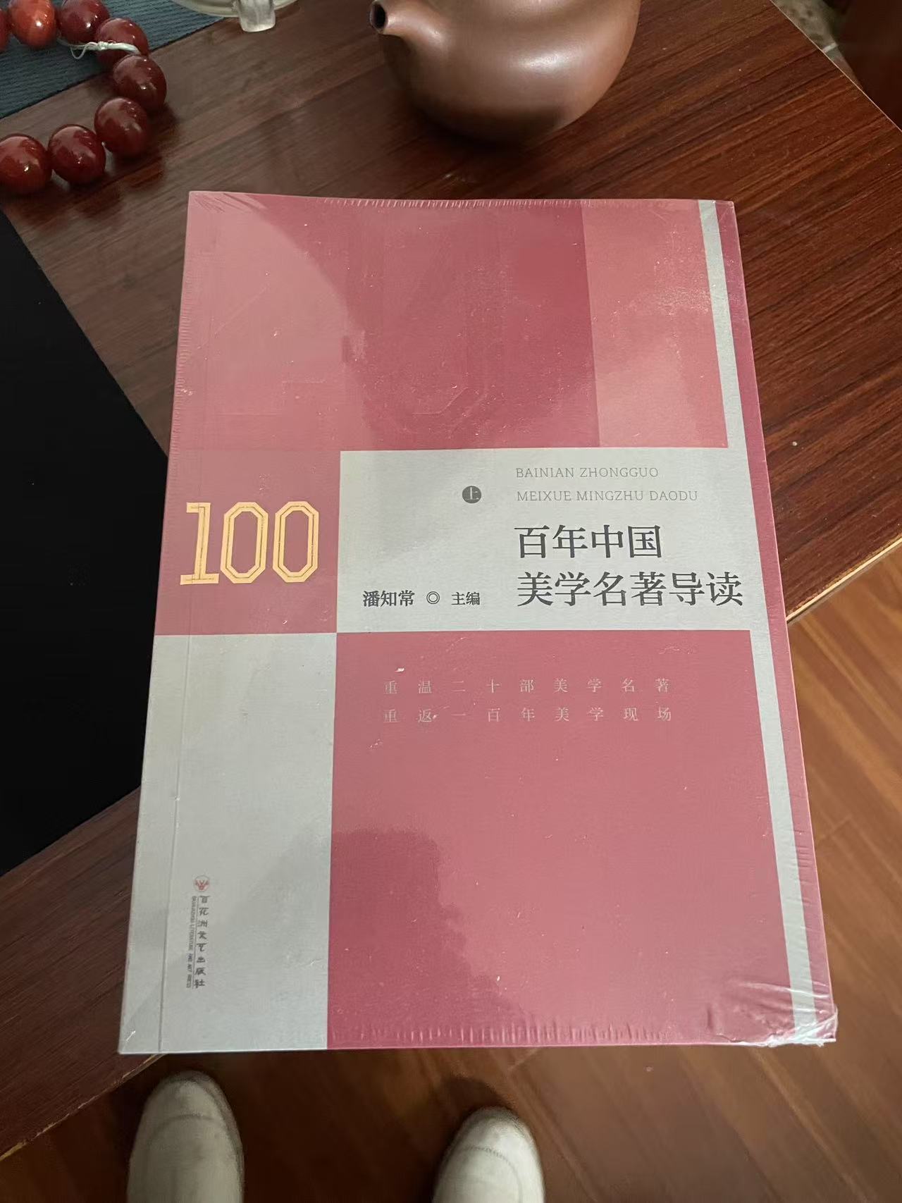 潘知常主编的《百年中国美学名著导读》