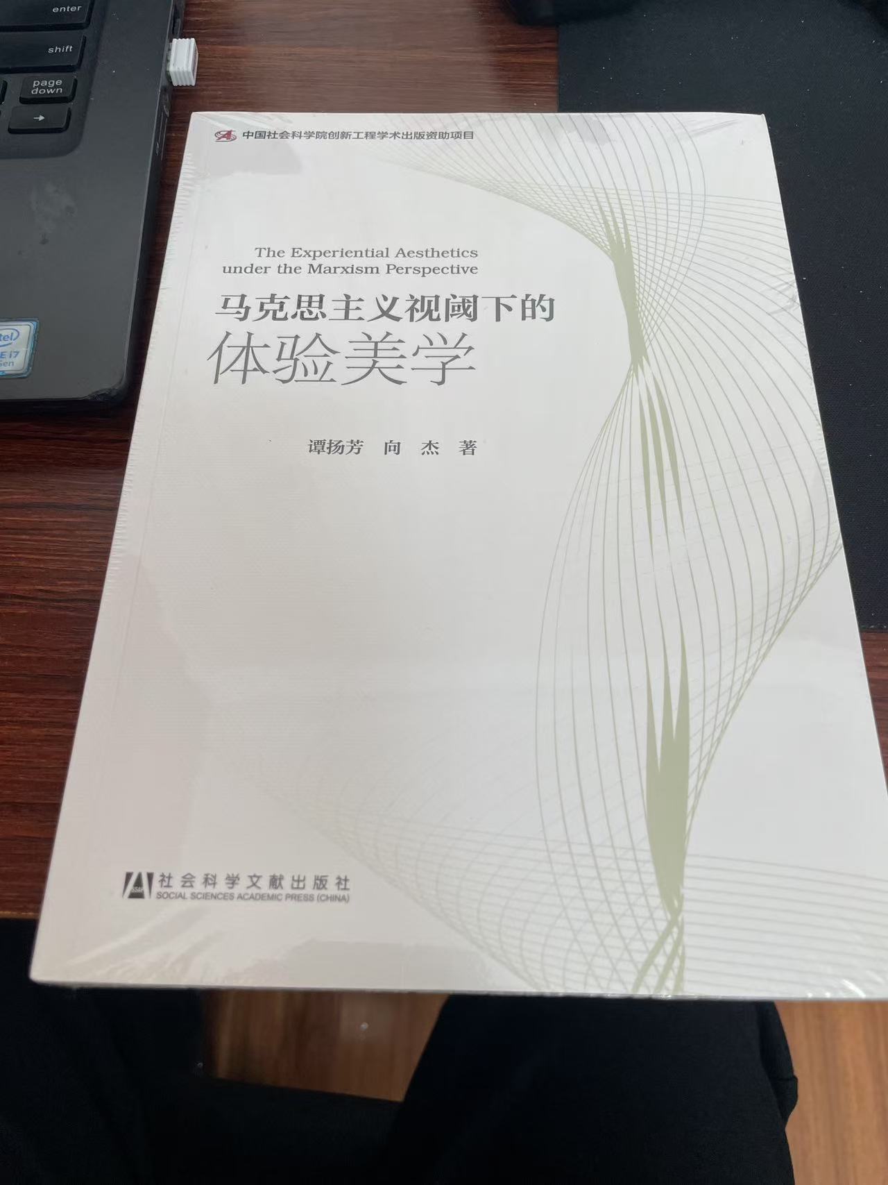 《马克思主义视域下的体验美学》